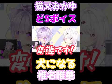 犬になる椎名さんとドン引きするおかゆんW【猫又おかゆ/椎名唯華/nekomataokayu/切り抜き/ホロライブ】#shorts