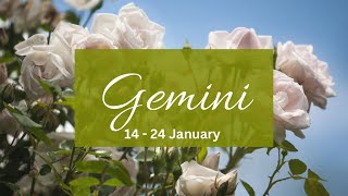 Gemini❤️Someone u have distanced urself from..they r angry, jealous & triggered because of this..