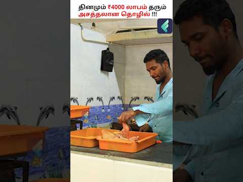 Earn ₹1,20,000 Monthly from a Chicken Shop 🐔🥩 #chicken #meatstore