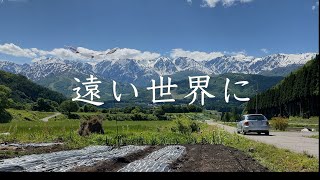 遠い世界に（歌詞・コードあり）