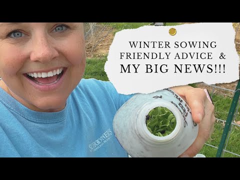 WINTER SOWING UPDATES & BIG NEWS | opening container, watering, seed starting 101