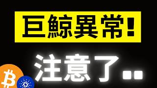 比特幣反彈來到關鍵! 貝萊德卻出現歷史第二大流出.. XRP大鯨魚瘋狂囤積..似乎在醞釀什麼! ADA也出現異動..!? #eth #xrp #ada