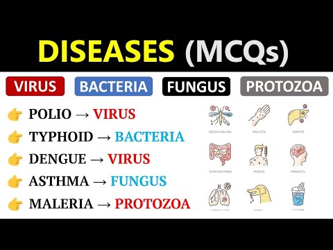 Diseases Gk | VIRUS | BACTERIA | PROTOZOA | FUNGUS | For SSC CGL 2024 |