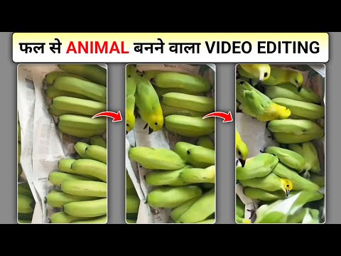 Phal Se Animal Banaane Wala Ai Video Kaise Banaye | Ai Animal Like Fruit