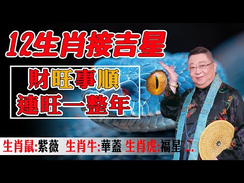 12生肖接吉星，2025年蛇年都被哪些吉星高照？財旺事順連旺一整年【佛語】#運勢 #風水 #佛教 #生肖 #佛語