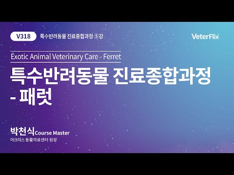 [베터플릭스][특수반려동물 진료종합과정] 패럿(Exotic Animal Veterinary Care-Ferret)