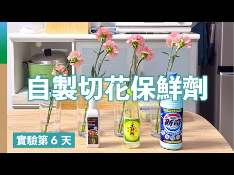 一瓶花能插2週嗎？用醋、漂白水、糖自製切花保鮮劑，延長鮮花觀賞期