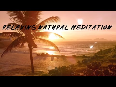 Morning Relaxing Music - Meditation Music For Stress Relief, Yoga Music, Study Music (Dev)