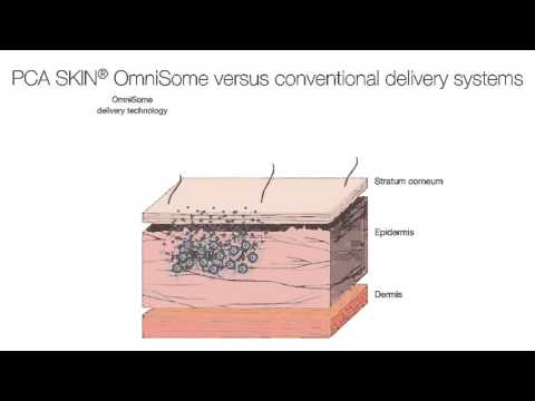 The OmniSome Delivery System