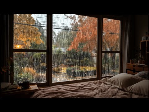 🌿Would you like to hear the sound of rain falling in the autumn garden? Rain sounds for sleeping