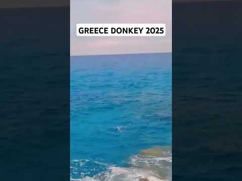 greece donkey 2025 #greecedoneky #serbiatogreece #albaniatogreece