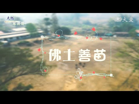 【大馬慈濟情】 佛土善苗 20250111