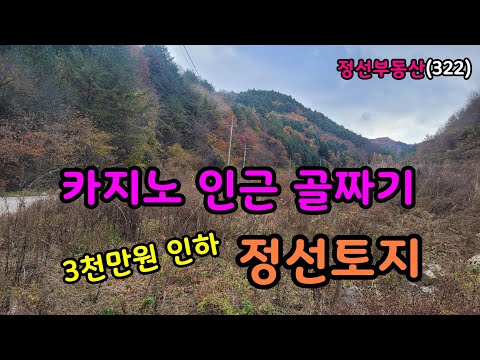 3천만원 인하 카지노 인근 골짜기 정선토지/ 정선토지박사