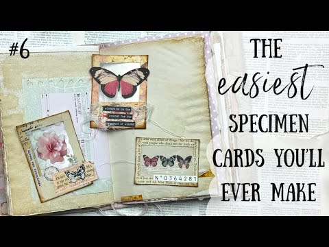 The EASIEST Specimen Cards to make TUTORIAL | My Big Fat Pink Journal #6 🩷🌸