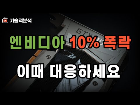 엔비디아 10% 폭락 SOXX 테슬라 조정 진행 ｜다음 주 대응 방향 정하세요!