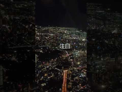 【天神祭】飛行機から見えた花火は予想外の光景だった！ #shorts #天神祭 #花火 #大阪