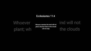 Ecclesiastes 11:4 #God #christ #Christian #biblequote #christisking👑 #God  #kindness #church #jesus