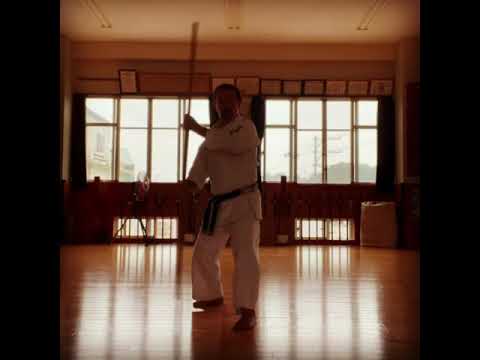 7th Dan test practice #karate #OKINAWA #空手 #japan #沖縄 #信武舘 #古武道 #shimbukan #kobudo