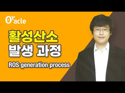 활성산소 발생과정(ROS generation process)