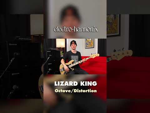 EHX Lizard King Octave Fuzz Pedal Demo