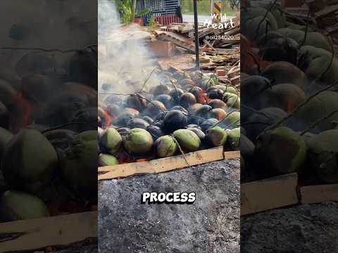 Why Are They Burning These Coconuts?