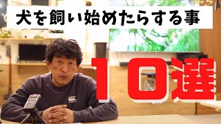 「飼い始めたら１週間サークルから出しては駄目」を真に受けてしまった方向け。「犬の社会化」