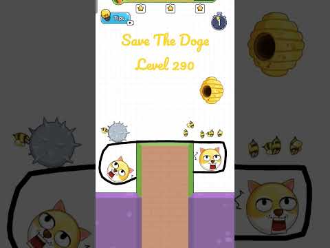 Save The Doge Level 290 Gameplay. #shorts #savethedoge #gameplay #walkthrough #gameshorts #shortsvid