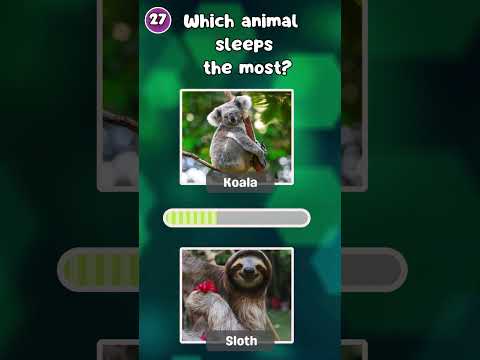 "How Good Is Your Knowledge of Animals? 🐾 Test Yourself Now!"|The Quiz Show