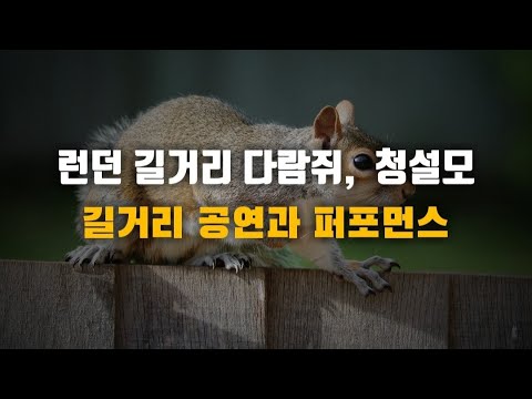 영국 일상 2편 런던 다람쥐, 청설모, 길거리 공연, 버스킹, 길거리 예술가, 웃기는 공연, 길거리 드러머, 런던여행, 런던관광 꿀팁, 런던투어 꿀팁 #런던길거리