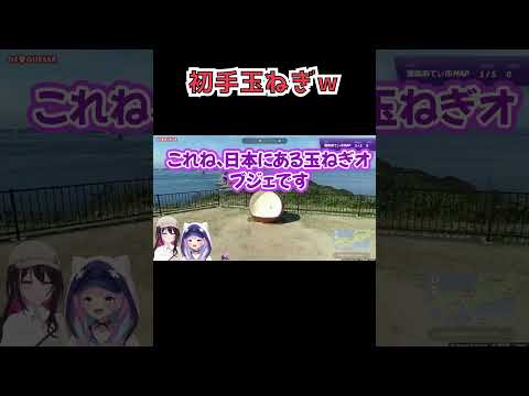 AZKi作、湊県あてぃ市のGeoGuessrで初手から玉ねぎにツッコミまくるあくたんｗ【ホロライブ切り抜き/湊あくあ/AZKi】 #shorts