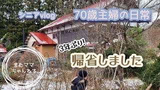 【シニアvlog】シニアライフ／３年ぶりの帰省