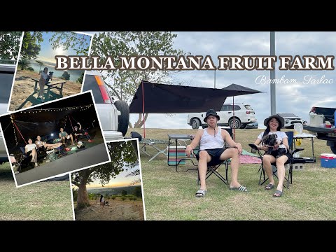 Bella Montana Fruit Farm | Bambam Tarlac | Car Camping | Overnight