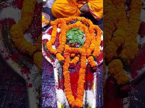 Baidyanath Dham Jyotirling 🙏   #harharmahadev #viralvideo #shorts  #trendingshorts #video #trending