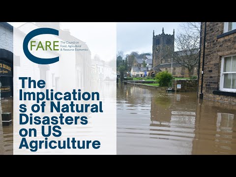 The Implications of Natural Disasters on US Agriculture