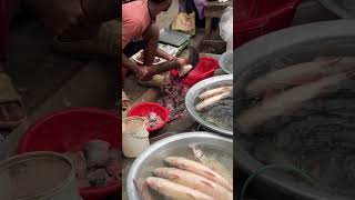 Roadside Fish Market