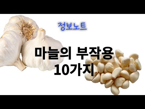 마늘 부작용10가지 마늘 칼로리