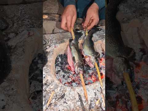 Grilling Wild Trout in the Wilderness! 🔥🎣using just a stick. #WildernessCooking #fishingadventure