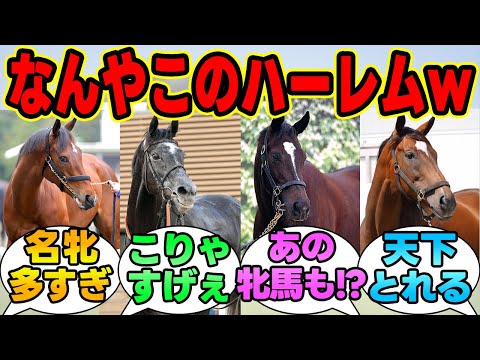 『キタサンブラックの今年種付けした牝馬がヤバすぎる件ｗｗｗ』に対する競馬民の反応集