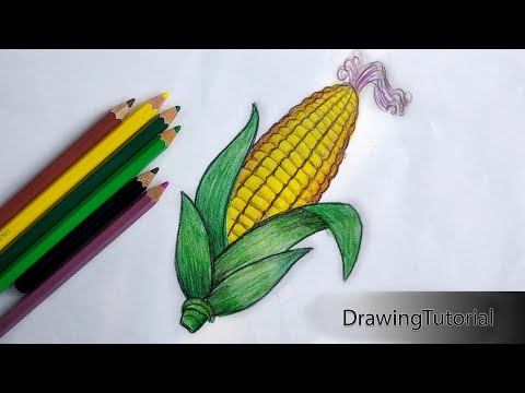 How to Draw Corn Step by Step (Very Easy)