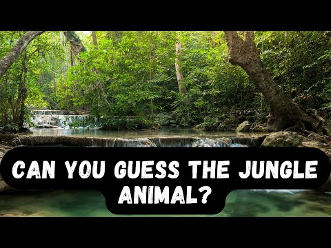 Guess The Jungle Animals: Can You Name Them All