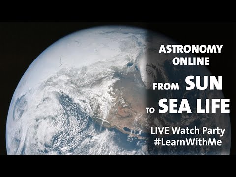 Astronomy Online: From Sun to Sea Life