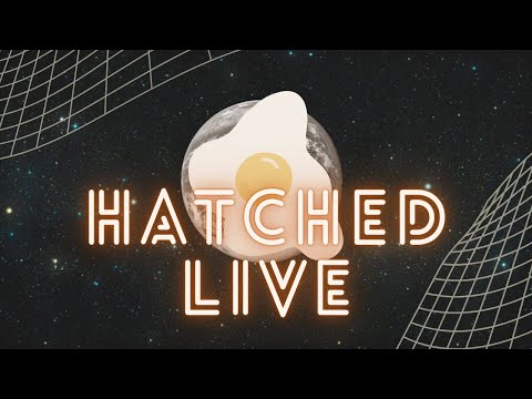 LIVE: Hatched - Breaking News, Weather, and Exclusive Interviews