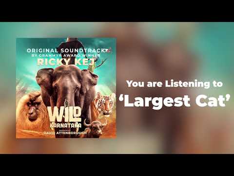 02 Wild Karnataka - Largest Cat - Original Soundtrack by Ricky Kej