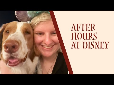 Never Before Seen Footage of After Hours at Disney World | Disney at Christmastime