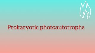 Prokaryotic photoautotrophs