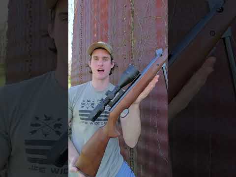 $60 vs $1,000 Break Barrel Air Rifle  #airgunning #pelletrifle #hunting #shorts