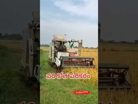 Paddy హార్వెస్టింగ్ మెషిన్.. 🌾#paddy #harvesting