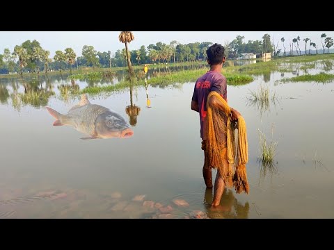 Best net fishing video | Traditional catching carp Roh fish in the river | Village fish video