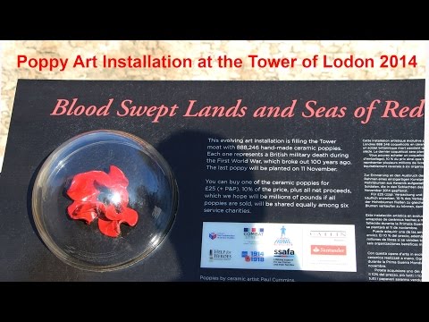 Poppy installation art & Tower of London landscape architecture - review