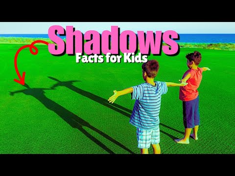 How Are Shadows Made? (Facts for Kids)